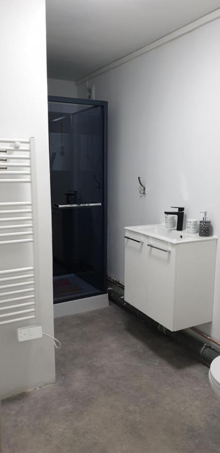 Studio, Chambres, Appartement, Gite Vendegies-sur-Ecaillon Екстериор снимка